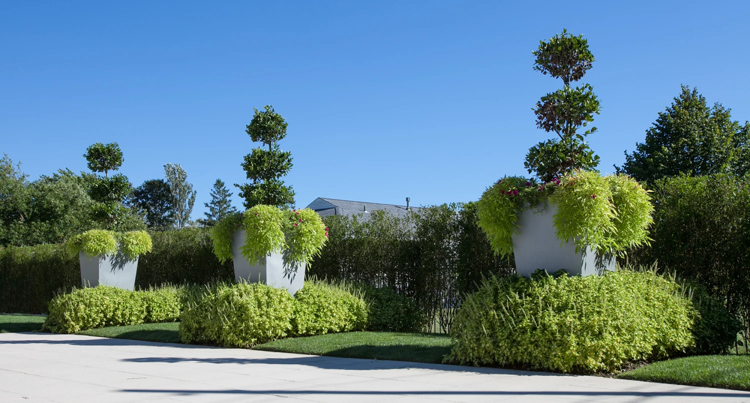 Geo Tapered Square Pot 5 Geo Tapered Square Pot - Image 5