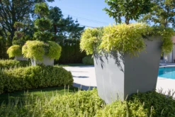 Geo Tapered Square Pot 13 Geo Tapered Square Pot -Garden Decoration Store Geo Tap Sq Geo9 Abe Jerome 4 89704.1676036712