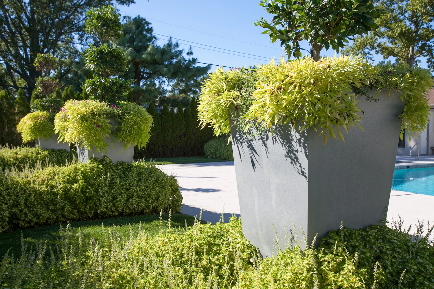 Geo Tapered Square Pot 7 Geo Tapered Square Pot - Image 7