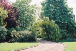 Garden Decoration Store 10 Garden Decoration Store -Garden Decoration Store Gothic Pergola Capel Manor 6 47993.1678795978