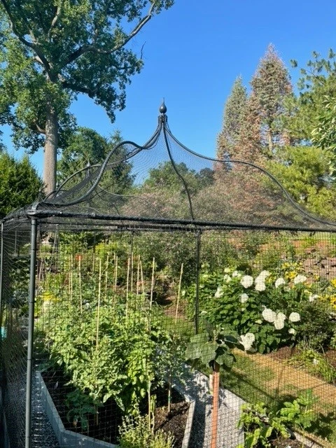 Gothic Fruit Cage 1 Gothic Fruit Cage