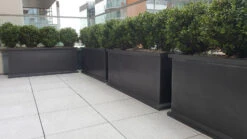 Grosvenor Square, Trough & Round Planters 25 Grosvenor Square, Trough & Round Planters -Garden Decoration Store GrosvenorTroughsFL 1600 78029.1676036720