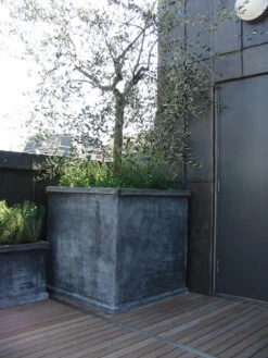 Grosvenor Square, Trough & Round Planters 23 Grosvenor Square, Trough & Round Planters -Garden Decoration Store Grosvenor Rooftop1 68346.1676036720