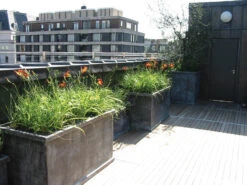 Grosvenor Square, Trough & Round Planters 26 Grosvenor Square, Trough & Round Planters -Garden Decoration Store Grosvenor Rooftop 55130.1676036720