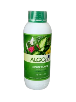 AlgoPlus Liquid Fertilizer -Garden Decoration Store House clear 14355.1676036729