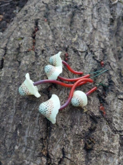 Spotted Polymer Mushrooms Set Of 5 - Amber -Garden Decoration Store KB MS5A3 1600 60715.1677360911