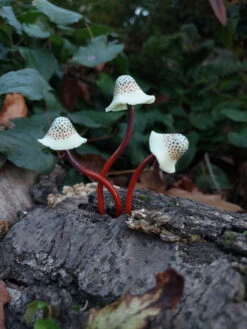Spotted Polymer Mushrooms Set Of 5 - Amber -Garden Decoration Store KB MS5A5 1600 10218.1677360911
