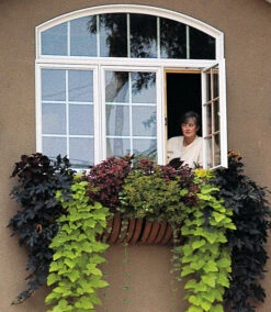 Large Expandable Window Hayrack -Garden Decoration Store KC26 beauty 52811.1677584631