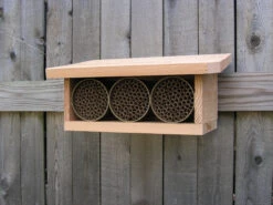 Cedar Shelter For Mason Bee Houses -Garden Decoration Store KCMS KIT 51929.1677360244
