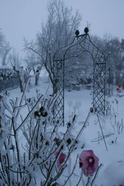 Kiftsgate Garden Arch -Garden Decoration Store Kiftsgate 13 45367.1712760555