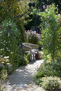 Kiftsgate Garden Arch -Garden Decoration Store Kiftsgate 14 13129.1712760555