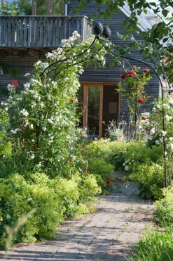 Kiftsgate Garden Arch -Garden Decoration Store Kiftsgate 16 47271.1712760555