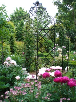 Kiftsgate Gazebo -Garden Decoration Store Kiftsgate Gazebo 2 1600 43989.1678814406