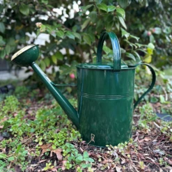Green Galvanized European Classic Double Grip Watering Can 2.6 Gallon -Garden Decoration Store LHYBG 1.2000 73715.1710422860