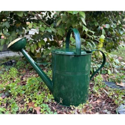 Green Galvanized European Classic Double Grip Watering Can 2.6 Gallon -Garden Decoration Store LHYBG 4.2000 37048.1710422860