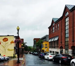 Lamppost Hayrack Baskets 25" - No Liner -Garden Decoration Store LPH25 Georgetown1600A 54252.1704817987