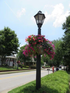 Lamppost Hayrack Baskets 25" - No Liner -Garden Decoration Store LPH25 HRB 3 1600 17439.1704817987