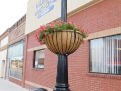 Lamppost Hayrack Baskets 25" - No Liner -Garden Decoration Store LPH25 Madison2 1600 00599.1704817987