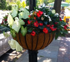 Lamppost Hayrack Baskets 25" - No Liner -Garden Decoration Store LPH25 NJWomanClub1 08437.1704817987