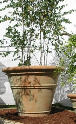 Large Pot -Garden Decoration Store LargePot planted 79764.1676036666