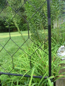 Garden Decoration Store -Garden Decoration Store Lattice Infill 49328.1680375592