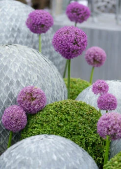 Leaf Ball -Garden Decoration Store LeafBall6 65018.1674510737