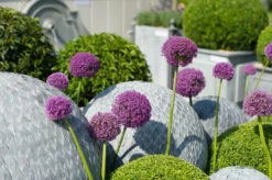 Leaf Ball -Garden Decoration Store LeafBall7 90950.1674510737