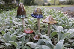 MARSHALL Ceramic Mushroom Stakes - Set Of 5