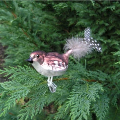 Glass Wren Blown Glass Ornament With Feather Tail -Garden Decoration Store OR29 68259.1699456695