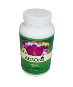 AlgoPlus Liquid Fertilizer -Garden Decoration Store Orchid clear1 79743.1676036729