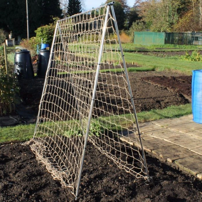 Pea & Runner Bean Frame - 2 Meters 1 Pea & Runner Bean Frame - 2 Meters