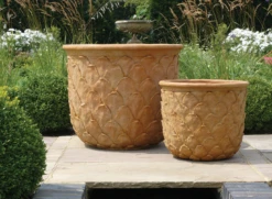 Pineapple Planter -Garden Decoration Store Pineapple 2 Insitu 27394.1676036684