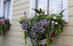 Window Hayrack Planter -Garden Decoration Store Planted Hayrack 16014.1706388645