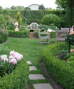 Enclosed Garden Arbor 12 Enclosed Garden Arbor -Garden Decoration Store R1 3 89397.1676036723