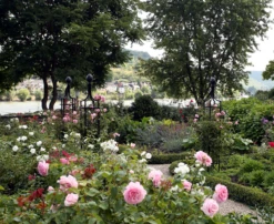 Obelisk I -Garden Decoration Store R2 Obelisk I 4 23416.1676036712