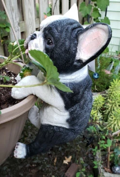 MARSHALL Hanging French Bulldog -Garden Decoration Store RA49 b 1600 57692.1676036622