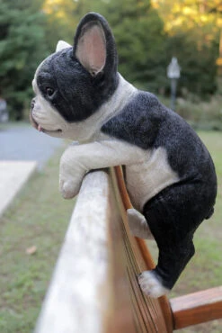 MARSHALL Hanging French Bulldog -Garden Decoration Store RA49 h 1600 08661.1676036622