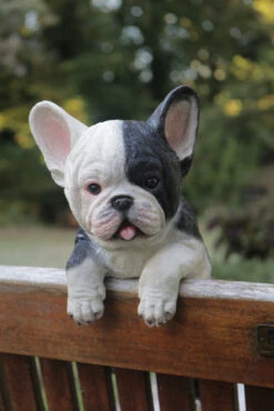 MARSHALL Hanging French Bulldog -Garden Decoration Store RA49 k 1600 03108.1676036622