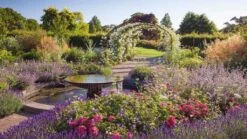 Monet Garden Arch -Garden Decoration Store RHS Wisley 1024x576 Monet Arch Series 11054.1676036651