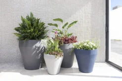 Rim TruDrop® Self-Watering Planter