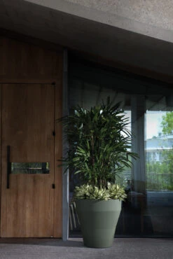 Rim TruDrop® Self-Watering Planter -Garden Decoration Store Rim Planters3 1600 73709.1676403250