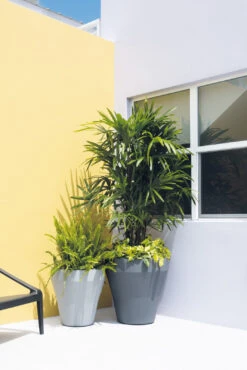 Rim TruDrop® Self-Watering Planter -Garden Decoration Store Rim Planters5 1600 89641.1676403250