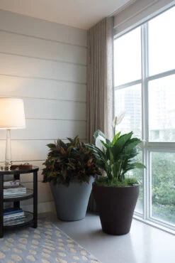 Rim TruDrop® Self-Watering Planter -Garden Decoration Store Rim Planters6 1600jpg 17381.1676403250