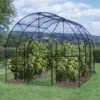 Roman Fruit Cage