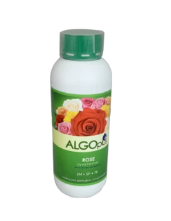 AlgoPlus Liquid Fertilizer -Garden Decoration Store Rose clear2 26311.1676036728