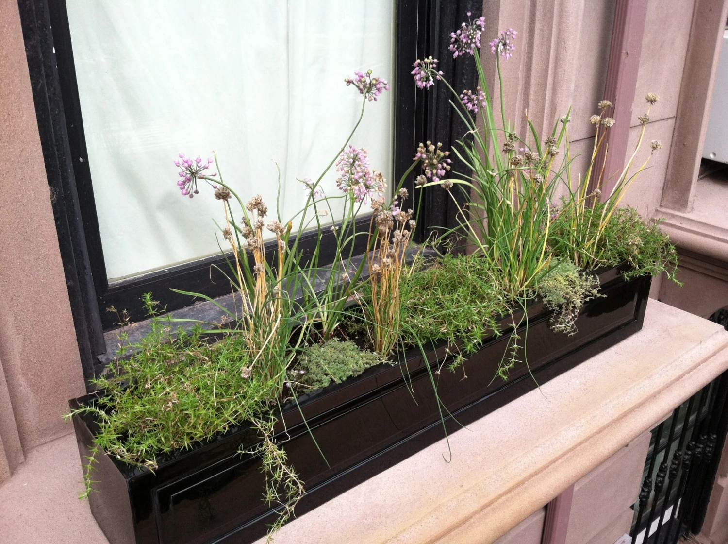 Sloane Fiberglass Planters -Square, Troughs & Window Box 11 Sloane Fiberglass Planters -Square, Troughs & Window Box - Image 11