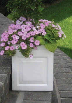 Sloane Fiberglass Planters -Square, Troughs & Window Box 18 Sloane Fiberglass Planters -Square, Troughs & Window Box -Garden Decoration Store Sloane Square in situ 33168.1677703938