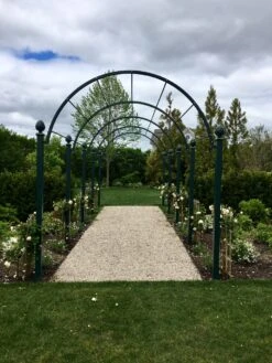 St Albans Pergola -Garden Decoration Store St Albans in RI 61975.1676036670