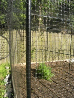 Superior Fruit Cage Side Mesh 6'6" Wide (sold Per Foot) -Garden Decoration Store Superior Fruit Cage Side 26131.1717793298