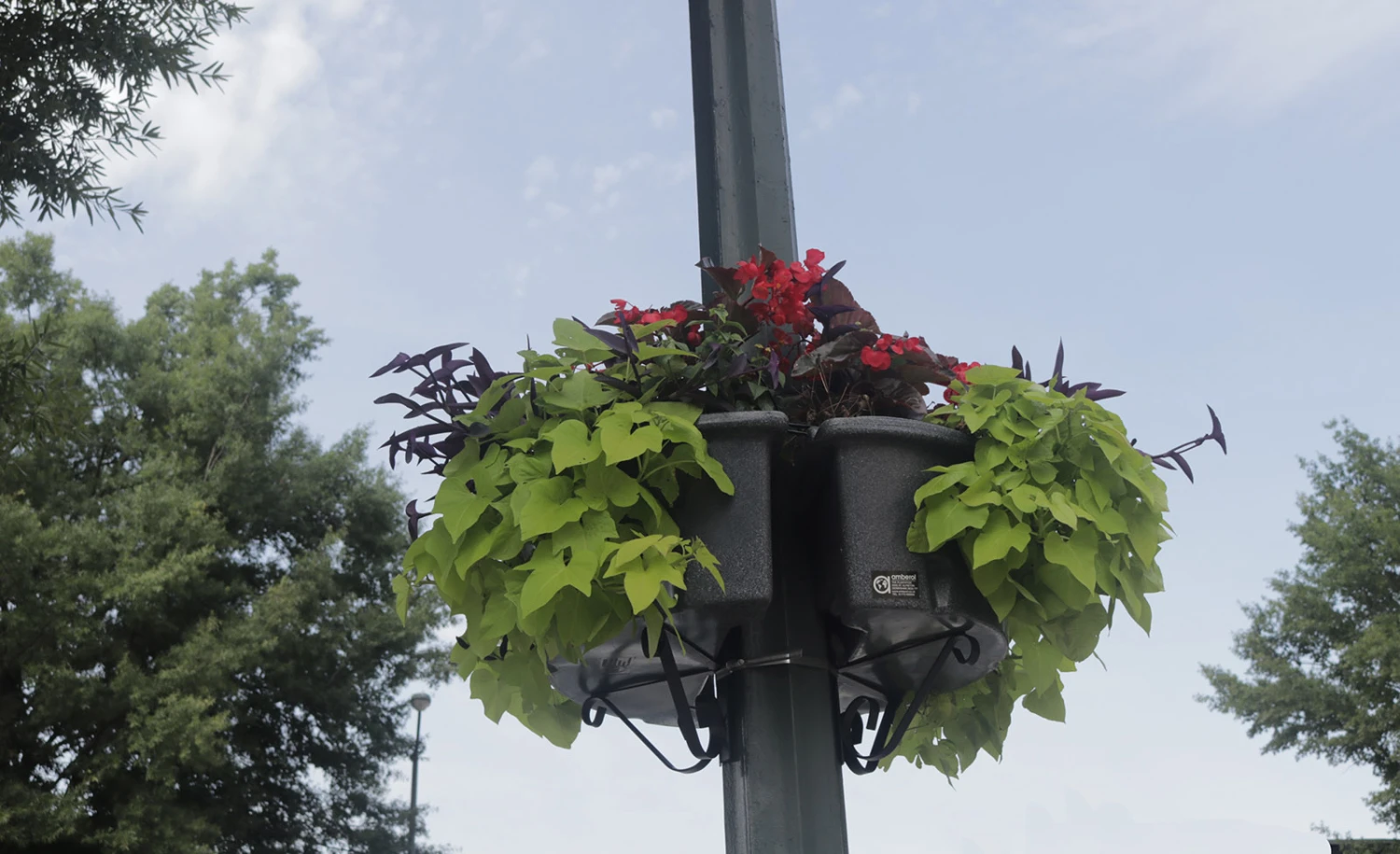 Up The Pole Half Basket Self-Watering Planter 2 Up The Pole Half Basket Self-Watering Planter - Image 2